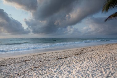 Beyaz kum ve palmiyeli cennet kumsalı. Kenya Mombasa 'nın Hint Okyanusu çevresindeki Diani Sahili. Afrika 'da manzara fotoğrafı egzotik plaj