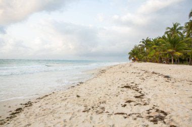 Beyaz kum ve palmiyeli cennet kumsalı. Kenya Mombasa 'nın Hint Okyanusu çevresindeki Diani Sahili. Afrika 'da manzara fotoğrafı egzotik plaj