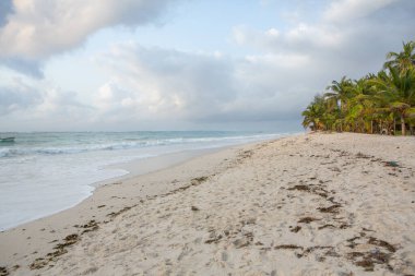 Beyaz kum ve palmiyeli cennet kumsalı. Kenya Mombasa 'nın Hint Okyanusu çevresindeki Diani Sahili. Afrika 'da manzara fotoğrafı egzotik plaj
