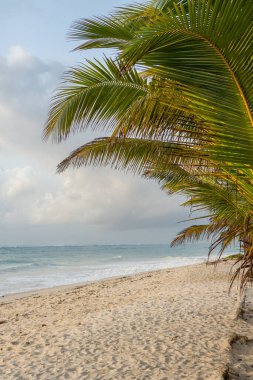 Beyaz kum ve palmiyeli cennet kumsalı. Kenya Mombasa 'nın Hint Okyanusu çevresindeki Diani Sahili. Afrika 'da manzara fotoğrafı egzotik plaj