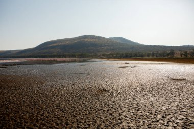 Nakuru Gölü 'ndeki Afrika manzarası. Kenya 'nın güzel doğası