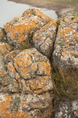 Kırsalda romantik bir manzara. Avrupa 'nın güzel sonbahar doğası.