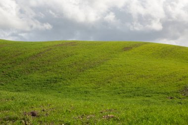 Virajlı yolu ve selvası olan ünlü Toskana manzarası, İtalya, Avrupa. Kırsal çiftlik, selvi ağaçları, yeşil alan, güneş ışığı ve bulut. 