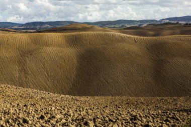Tuscany, İtalya 'da hasat edilmiş tarlalar ve çayırlar. Sonbahar günbatımında dalgalı kır manzarası. Tarımsal mevsim için ekilebilir arazi hazır..