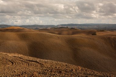 Tuscany, İtalya 'da hasat edilmiş tarlalar ve çayırlar. Sonbahar günbatımında dalgalı kır manzarası. Tarımsal mevsim için ekilebilir arazi hazır..