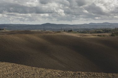 Tuscany, İtalya 'da hasat edilmiş tarlalar ve çayırlar. Sonbahar günbatımında dalgalı kır manzarası. Tarımsal mevsim için ekilebilir arazi hazır..