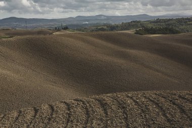 Tuscany, İtalya 'da hasat edilmiş tarlalar ve çayırlar. Sonbahar günbatımında dalgalı kır manzarası. Tarımsal mevsim için ekilebilir arazi hazır..