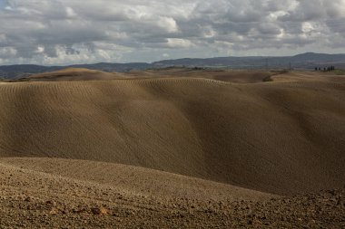 Tuscany, İtalya 'da hasat edilmiş tarlalar ve çayırlar. Sonbahar günbatımında dalgalı kır manzarası. Tarımsal mevsim için ekilebilir arazi hazır..