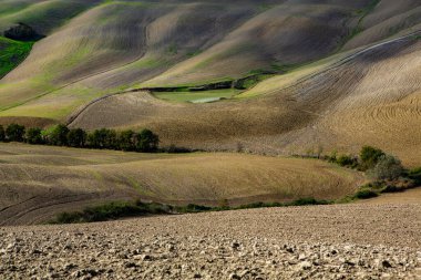 Tuscany, İtalya 'da hasat edilmiş tarlalar ve çayırlar. Sonbahar günbatımında dalgalı kır manzarası. Tarımsal mevsim için ekilebilir arazi hazır..