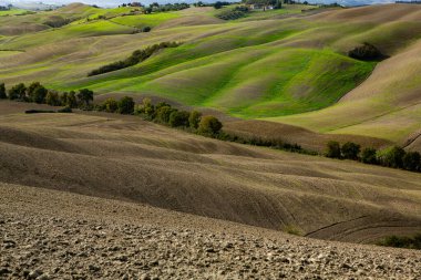 Tuscany, İtalya 'da hasat edilmiş tarlalar ve çayırlar. Sonbahar günbatımında dalgalı kır manzarası. Tarımsal mevsim için ekilebilir arazi hazır..