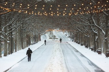 Şehir parkında göl ve ağaçlarla kaplı kış manzarası
