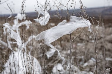 Çevre kirliliği. Doğadaki plastik torba. Çöpler doğal ortamda uçuyor..
