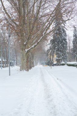 Moldova Cumhuriyeti 'nin başkenti Chisinau' da güzel bir kış.