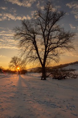 Rusya 'da soğuk kış. Sibirya 'da güzel bir gün doğumu. Soğuk kış fotoğrafı..