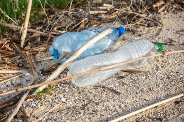Plastik şişe gölün kıyısında. Çevre kirliliği. Plastik atık plajda.
