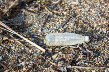 Plastik şişe gölün kıyısında. Çevre kirliliği. Plastik atık plajda.