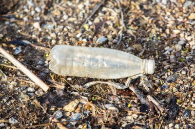 Plastik şişe gölün kıyısında. Çevre kirliliği. Plastik atık plajda.