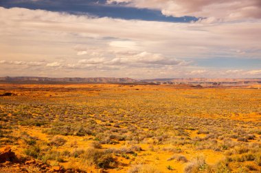 Büyük Kanyon Ulusal Parkı 'nın harika manzarası, Arizona, ABD. Kaliforniya Çölü.