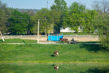 Moldova Cumhuriyeti 'nin güzel doğası olan köyün manzarası. Köy hayatı. Moldova, Doğu Avrupa 'da büyük bir kalbe sahip küçük bir ülke.