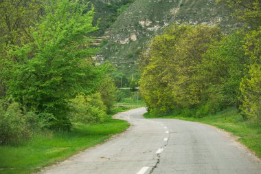 Moldova Cumhuriyeti 'nin güzel doğası olan köyün manzarası. Doğu Avrupa 'da kır hayatı.