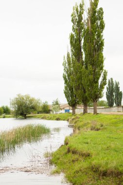 Moldova Cumhuriyeti 'nin güzel doğası olan köyün manzarası. Doğu Avrupa 'da kır hayatı.