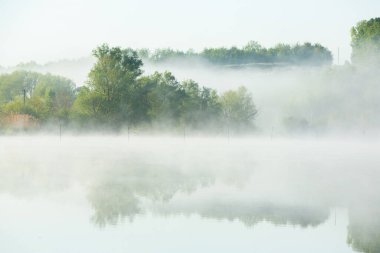 Moldova Cumhuriyeti 'nde sisli ve yeşil doğalı çok güzel bir manzara. Doğu Avrupa 'da kırsal doğa