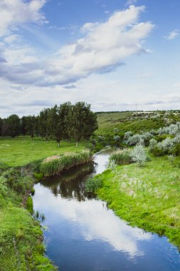 Yeşil ağaçlarla güzel bir yaz manzarası Moldova Cumhuriyeti 'nin nehir kıyısında yeşil çayırlar..