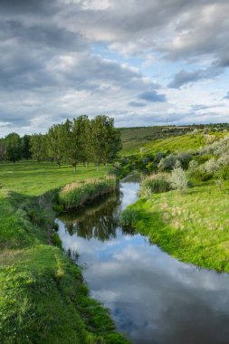 Yeşil ağaçlarla güzel bir yaz manzarası Moldova Cumhuriyeti 'nin nehir kıyısında yeşil çayırlar..