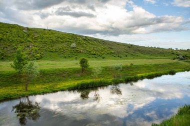 Yeşil ağaçlarla güzel bir yaz manzarası Moldova Cumhuriyeti 'nin nehir kıyısında yeşil çayırlar..