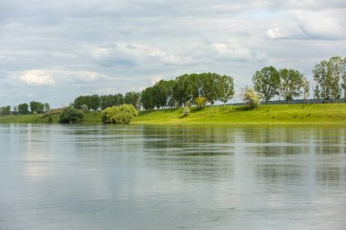 Yeşil ağaçlarla güzel bir yaz manzarası Moldova Cumhuriyeti 'nin nehir kıyısında yeşil çayırlar..
