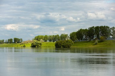 Yeşil ağaçlarla güzel bir yaz manzarası Moldova Cumhuriyeti 'nin nehir kıyısında yeşil çayırlar..