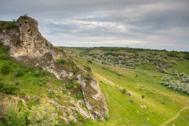 Moldova Cumhuriyeti 'nden manzara ve güzel doğa. Moldova 'nın kuzeyindeki en güzel manzaralardan biri, Doğu Avrupa