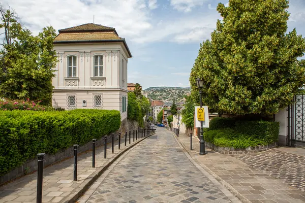 Macaristan 'ın başkenti Budapeşte' de çok güzel ve renkli bir cadde. Avrupa 'da sokak hayatı.