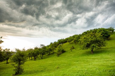 Doğu Avrupa 'nın küçük dost bir ülkesi olan Moldova Cumhuriyeti' nde manzara ve güzel yeşil doğa ile fotoğraf çekilmiştir..