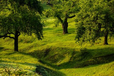 Doğu Avrupa 'nın küçük dost bir ülkesi olan Moldova Cumhuriyeti' nde manzara ve güzel yeşil doğa ile fotoğraf çekilmiştir..