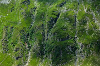 Romanya 'nın en ünlü Transfagarasan yolu. Romanya 'nın Karpatlar kentindeki çok pitoresk bir dağ yolu. Bir dağın tepesindeki manzara ya da doğa.