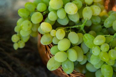 Tahta bir arka planda sepette bir demet beyaz üzüm..