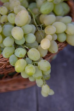 Tahta bir arka planda sepette bir demet beyaz üzüm..