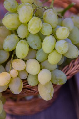 Tahta bir arka planda sepette bir demet beyaz üzüm..