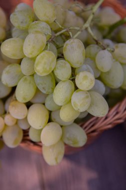 Tahta bir arka planda sepette bir demet beyaz üzüm..