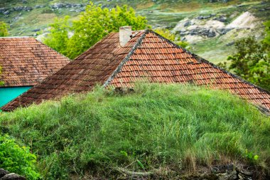 Moldova Cumhuriyeti 'nde kırsal alan. Doğu Avrupa 'dan güzel doğalı bir fotoğraf..