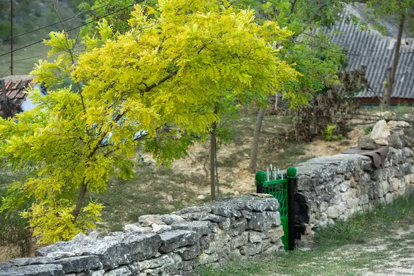 Moldova Cumhuriyeti 'nde kırsal alan. Doğu Avrupa 'dan güzel doğalı bir fotoğraf..