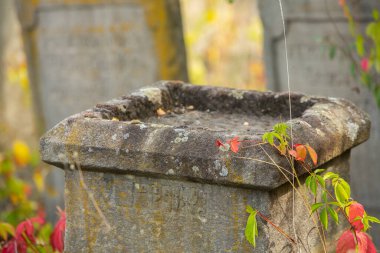 Moldova Cumhuriyeti 'ndeki Ortaçağ Yahudi mezarlığındaki mezar taşları