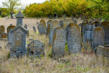 Moldova Cumhuriyeti 'ndeki Ortaçağ Yahudi mezarlığındaki mezar taşları