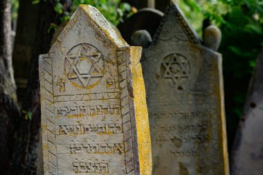 Moldova Cumhuriyeti 'ndeki Ortaçağ Yahudi mezarlığındaki mezar taşları