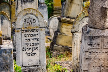 Moldova Cumhuriyeti 'ndeki Ortaçağ Yahudi mezarlığındaki mezar taşları
