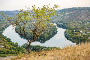 Moldova Cumhuriyeti 'nin kuzeyindeki güzel yaz manzarası. Eski SSCB 'den küçük bir Doğu Avrupa ülkesi..