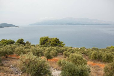 Arnavutluk 'un Butrint kentinde antik Roma kenti harabeleri bulunuyor. Bu arkeolojik alan UNESCO 'nun Dünya Mirası Alanı. Arnavutluk ve Avrupa 'da seyahat.