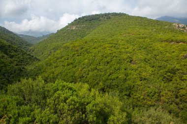 Arnavutluk 'taki dağ manzarası. Avrupa 'nın güzel yaz doğası. Arnavutluk 'ta macera seyahati.
