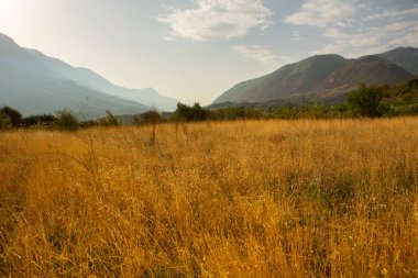 Arnavutluk 'taki İyon Denizi' nin çok güzel bir kıyı şeridi. Arnavutluk 'un dağlarında kumlu bir sahil. Denizde tatil..